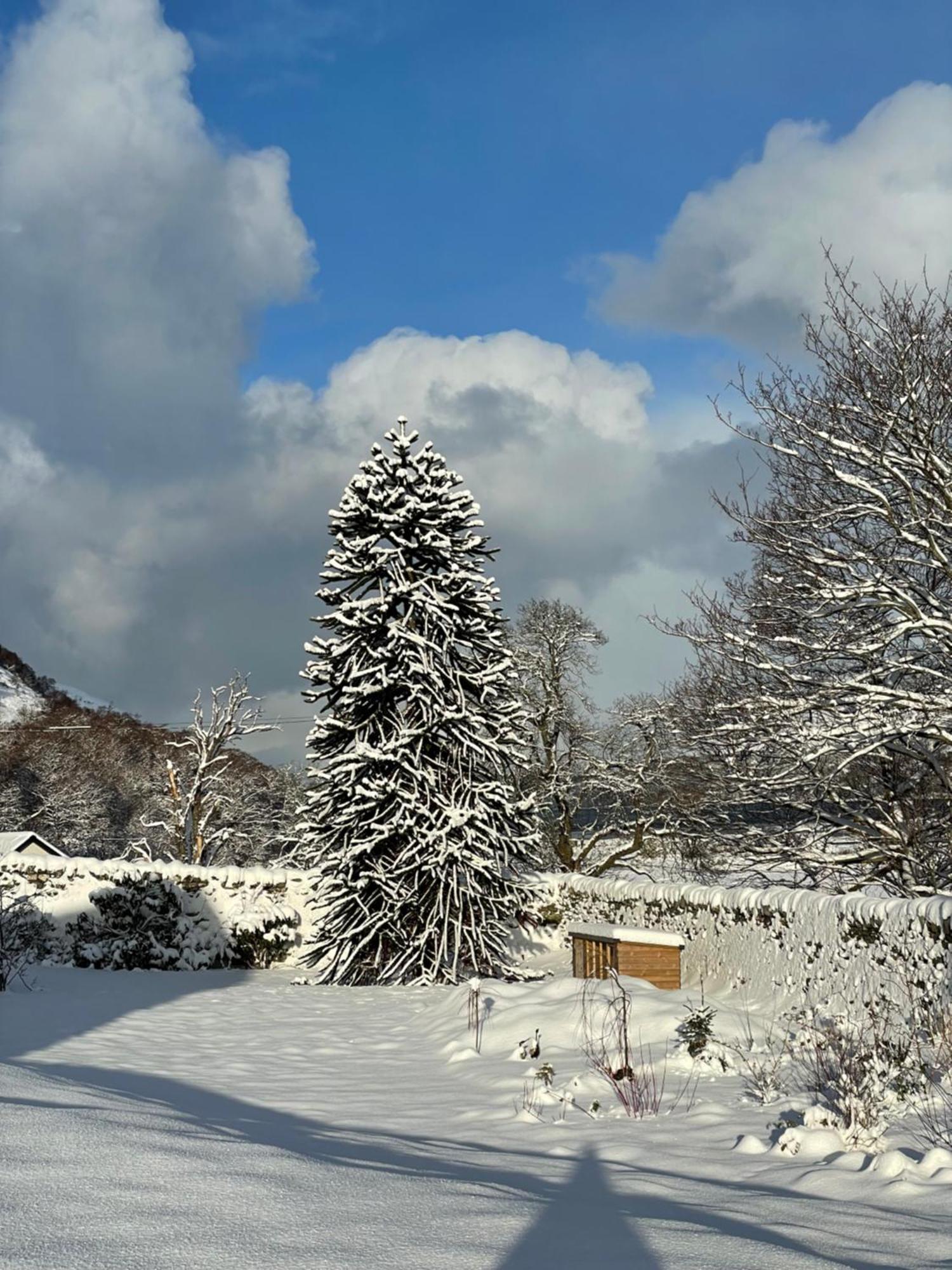 Clachan Garden B&B Garve Esterno foto