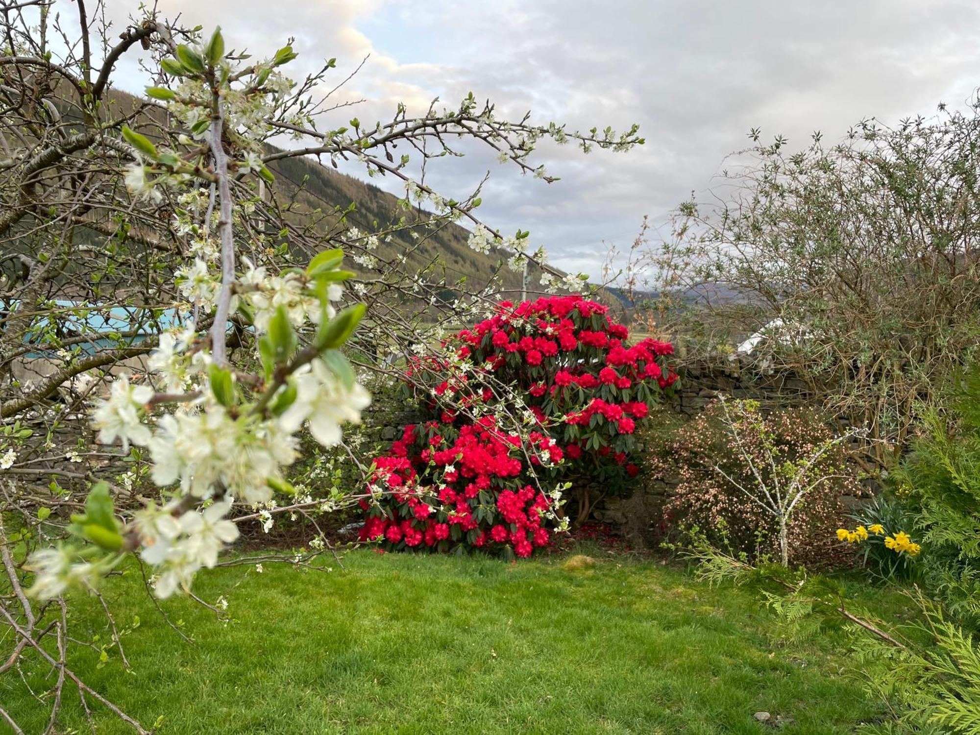Clachan Garden B&B Garve Esterno foto